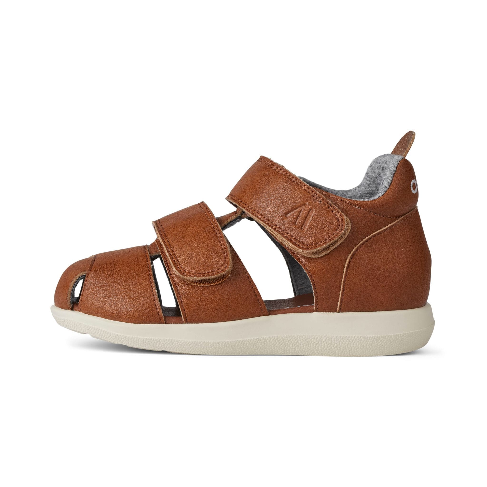 Wild Brown