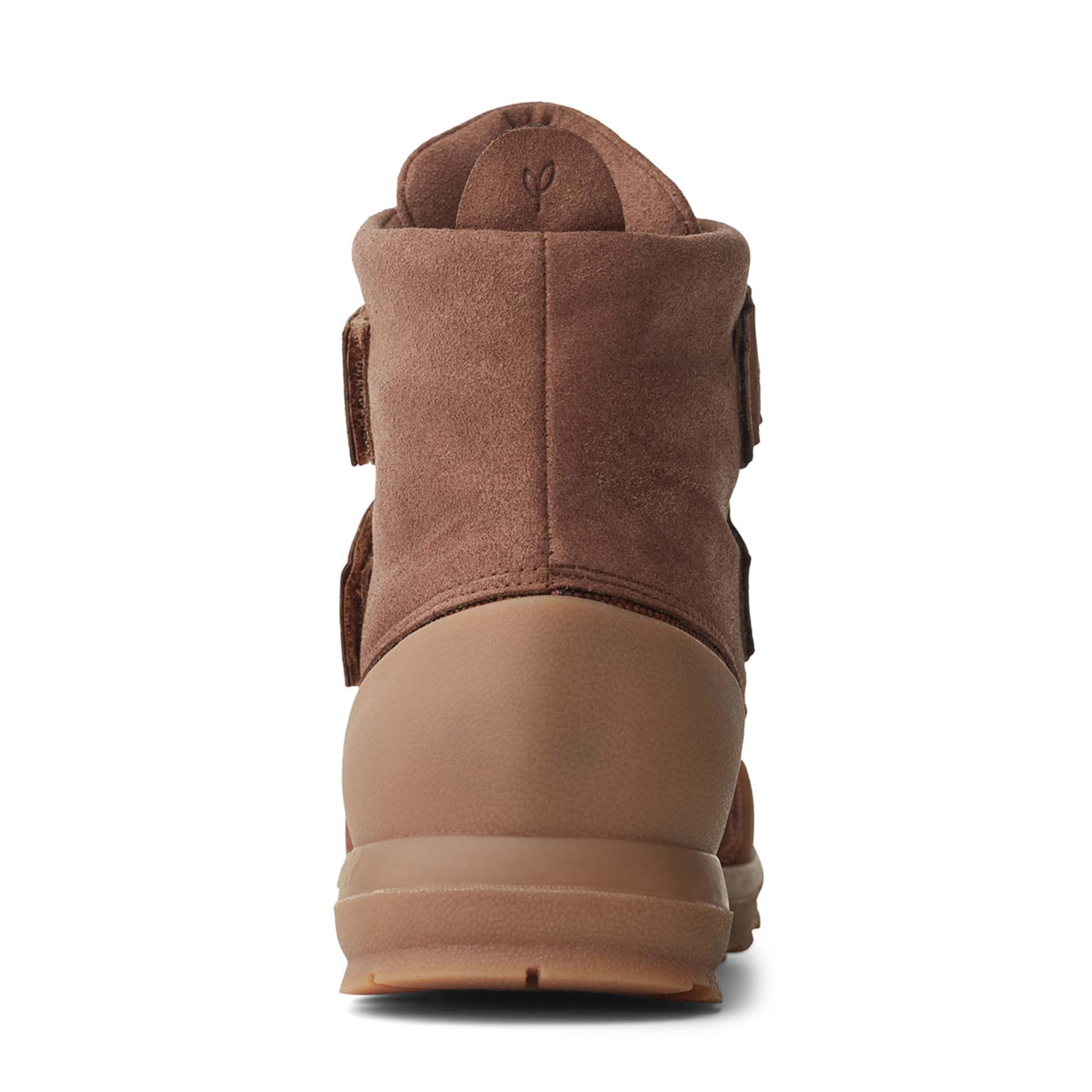 Wild Brown