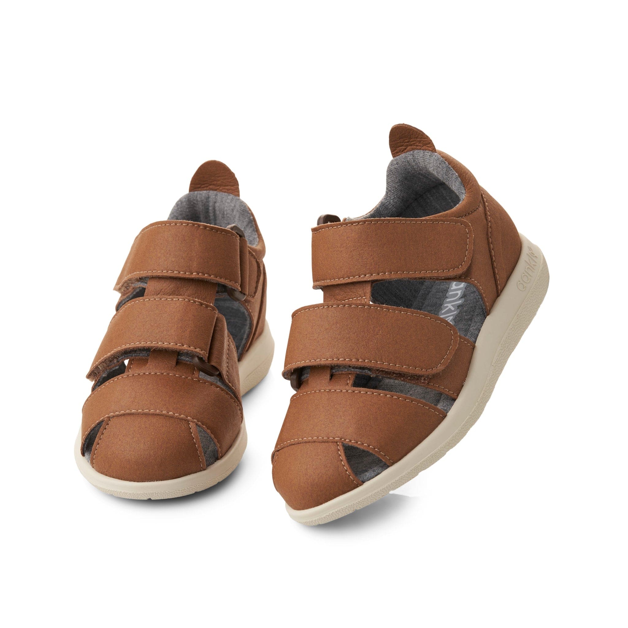 Wild Brown